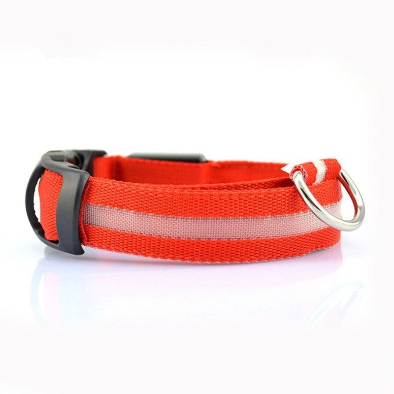 Keep Your Pet Safe and Seen After Dark