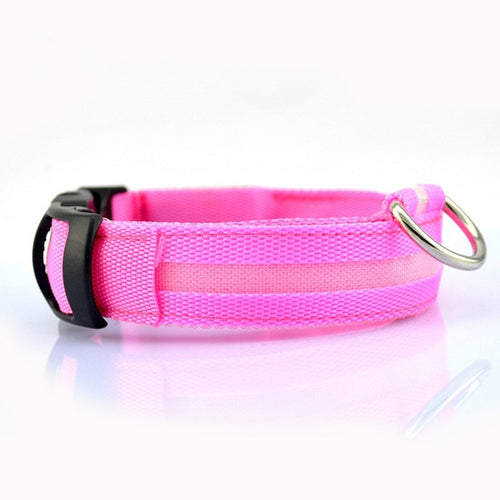 Keep Your Pet Safe and Seen After Dark