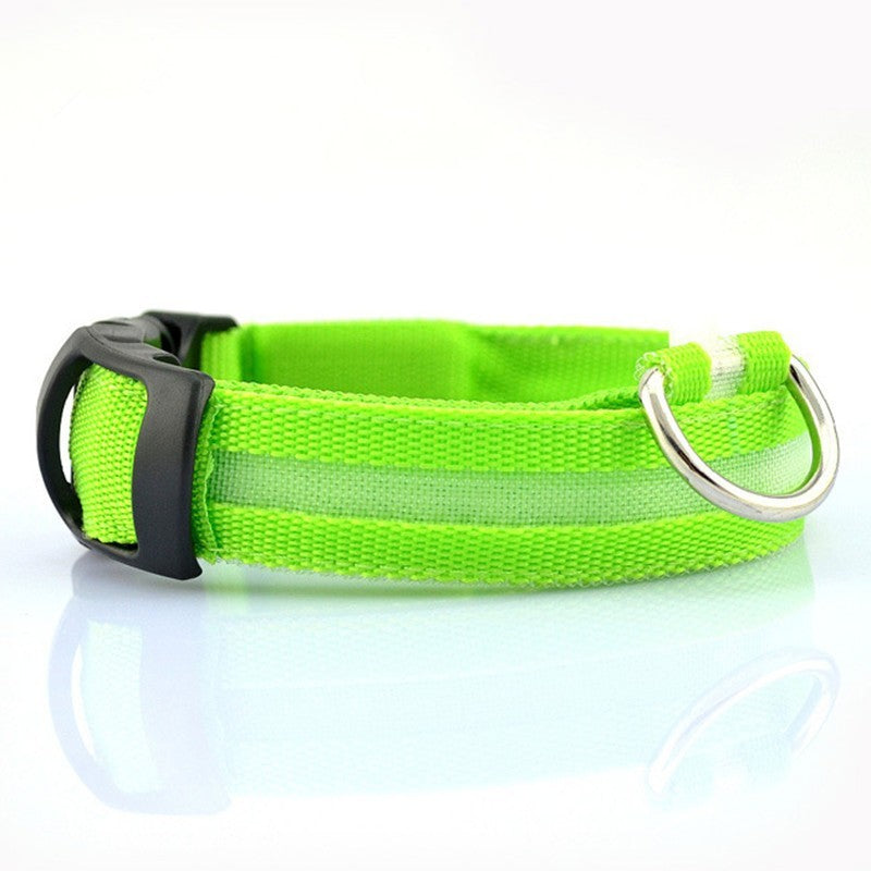 Keep Your Pet Safe and Seen After Dark