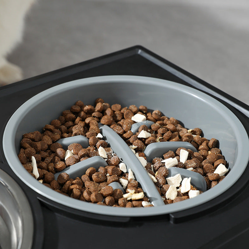 Elevated Dog Bowl for Comfy, Anti-Choke Feeding