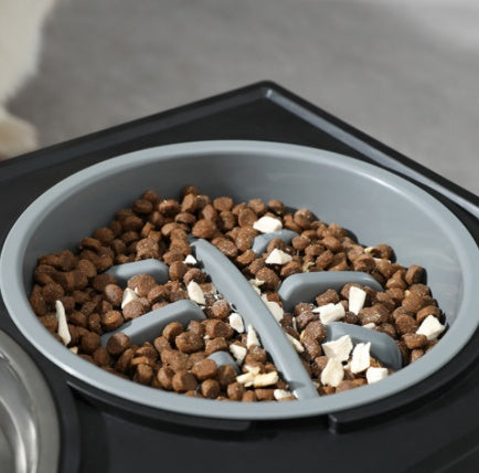 Elevated Dog Bowl for Comfy, Anti-Choke Feeding