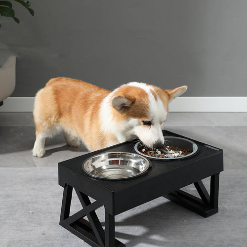 Elevated Dog Bowl for Comfy, Anti-Choke Feeding