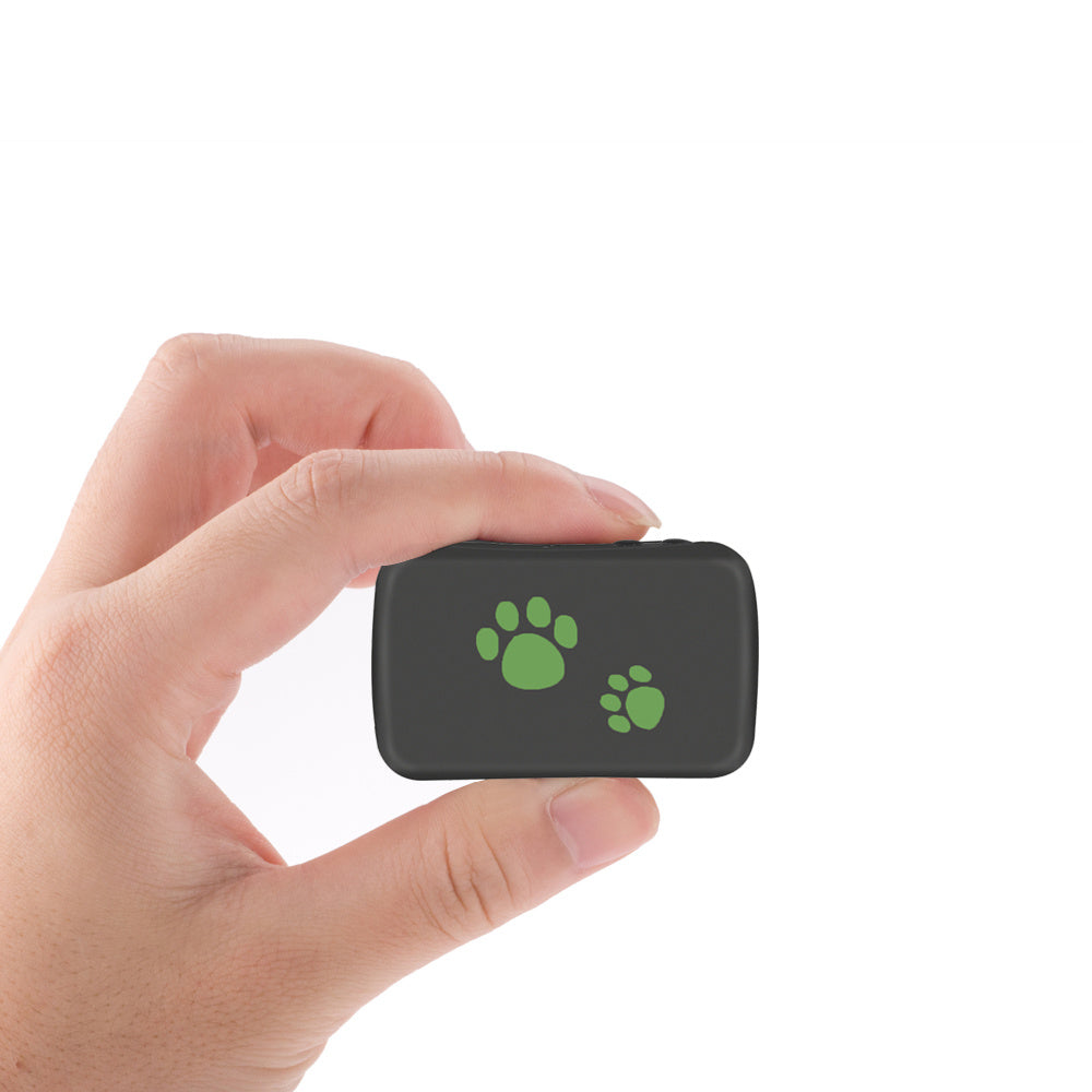 Pet GPS Tracker – Never Lose Your Furry Friend